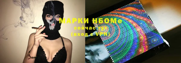 прущие грибы Туринск