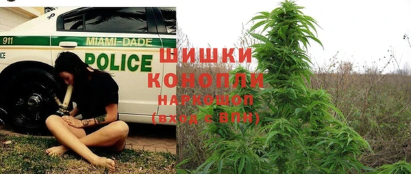 тгк Богородск