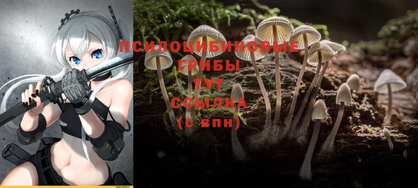 ГАЛЛЮЦИНОГЕННЫЕ ГРИБЫ Бугульма
