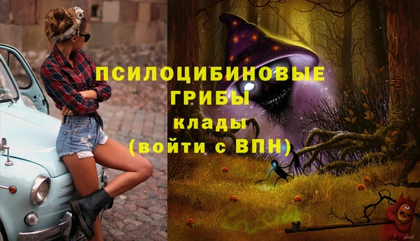 MESCALINE Тында