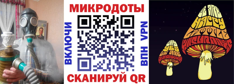 blacksprut маркетплейс  Кашира  Псилоцибиновые грибы Psilocybine cubensis 